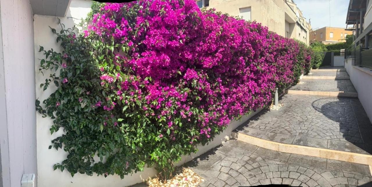 The Shabby House - Charming Seaside Retreat In Central Anzio, Steps From Beach And Train Station Exterior photo