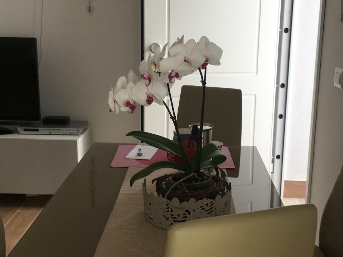 The Shabby House - Charming Seaside Retreat In Central Anzio, Steps From Beach And Train Station Exterior photo